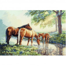 Horses at a watering hole, 46x32 cm