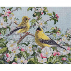Birds on apple blossoms, 35x29 cm